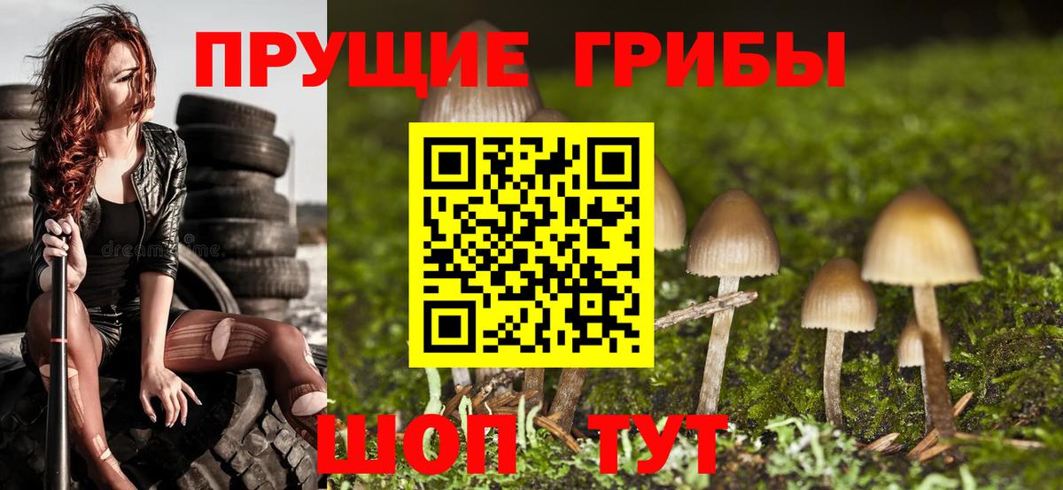 Псилоцибиновые грибы Magic Shrooms  закладка  Псилоцибиновые грибы Psilocybe  Шумерля 