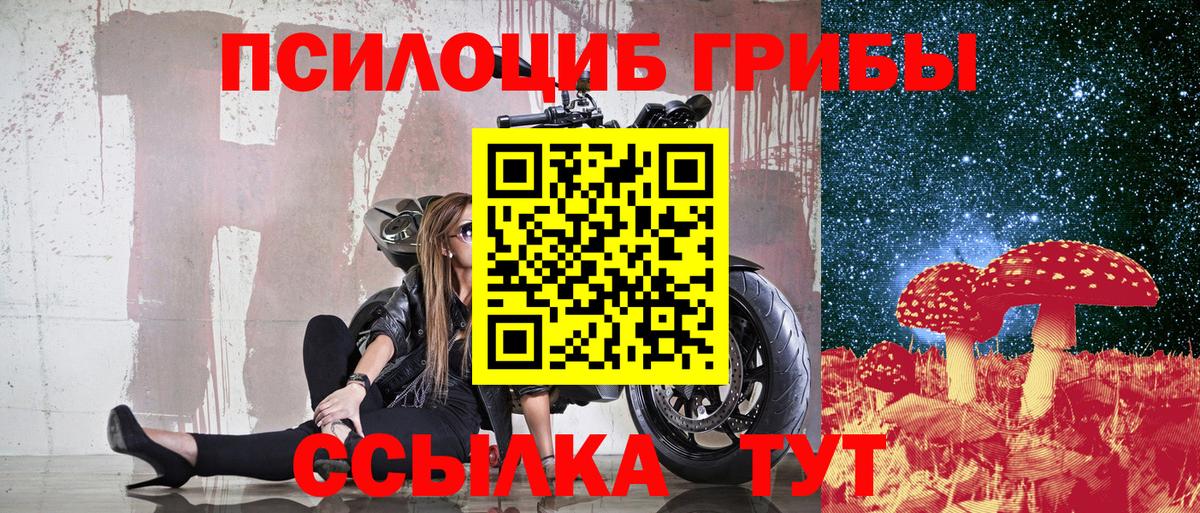 Псилоцибиновые грибы Psilocybine cubensis Шумерля